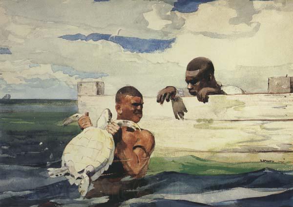 Winslow Homer The Turtle Pound (mk44)